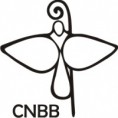 CNBB divulga nota sobre Povos Indígenas e Agricultores